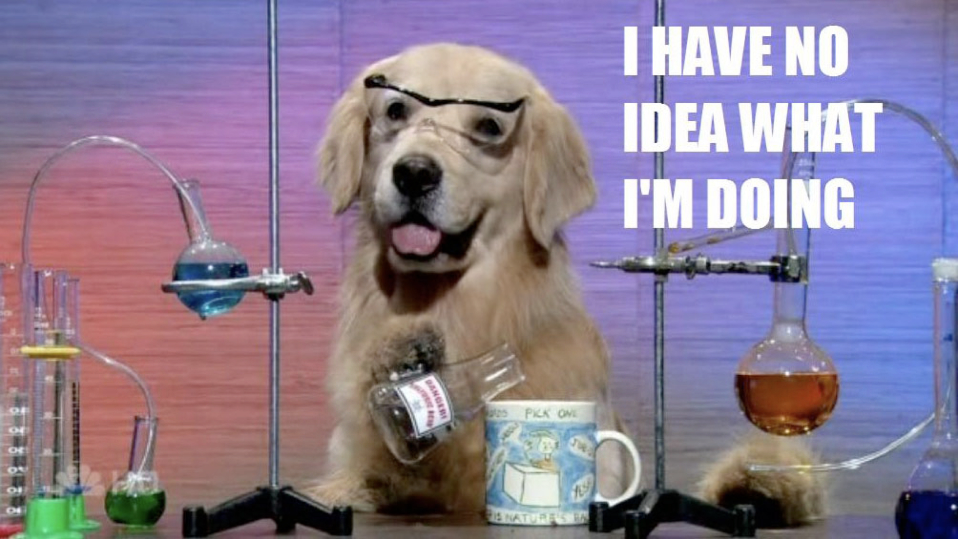 A labrador in a science lab wearing safety goggles, pouring a beaker into a mug, with the text superimposed: “I have no idea what I’m doing.”