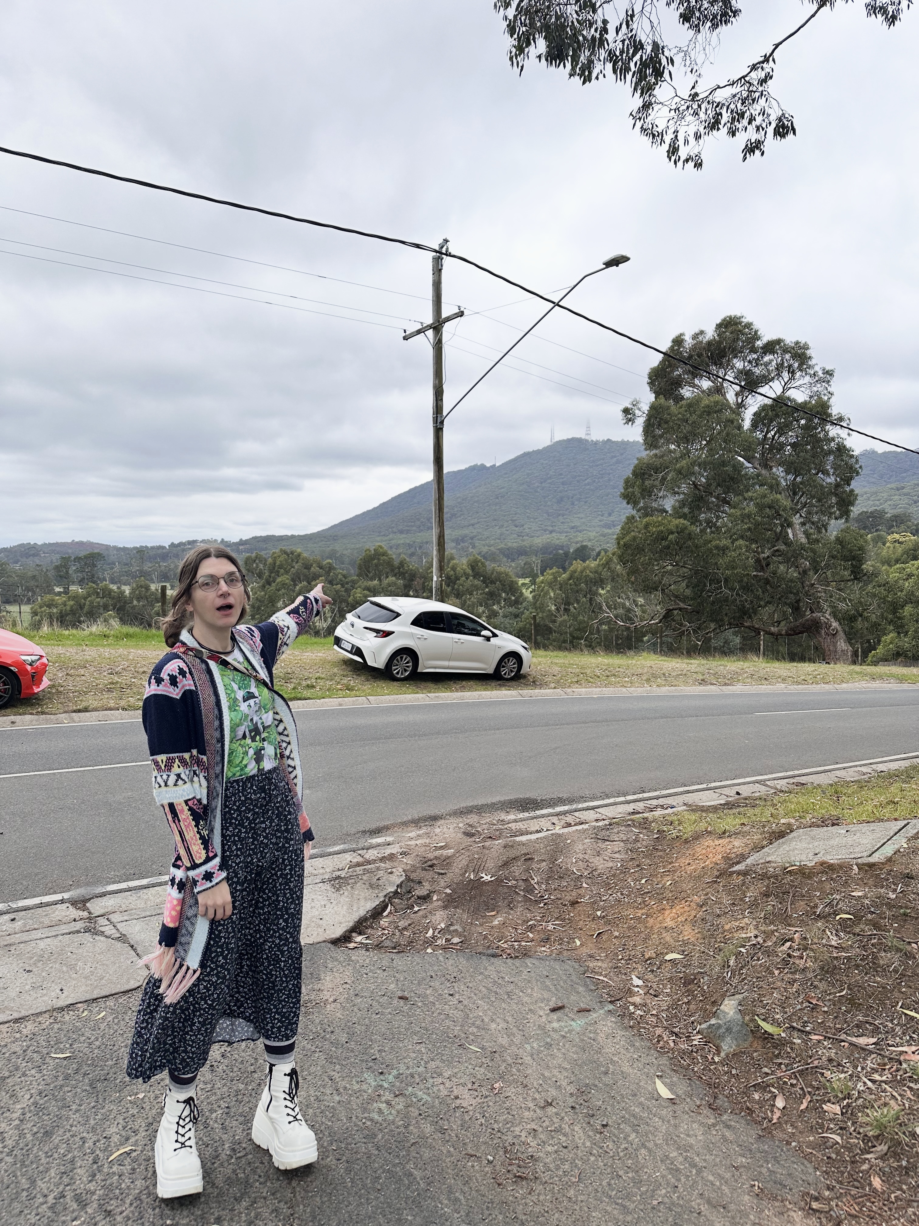 photo of me pointing out a mountain with mouth open, it’s some kind of meme ig